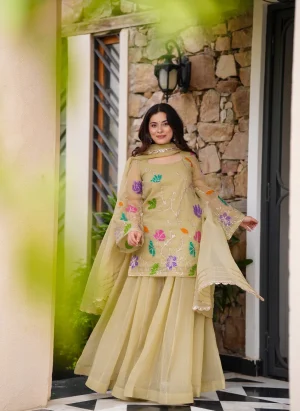 Kyra Organza Kurta Set